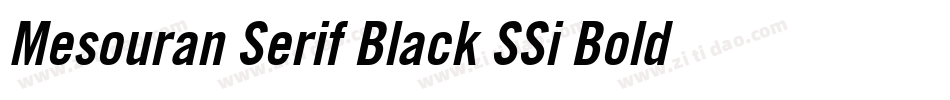 Mesouran Serif Black SSi Bold Italic字体转换